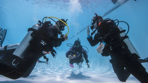 DiveAcademy
