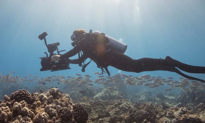 digital-underwater-photographer-1