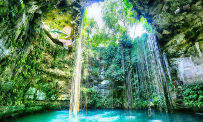 riveramaya4.webp